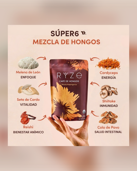 Coffee RYZe Mushroom
30 Porciones