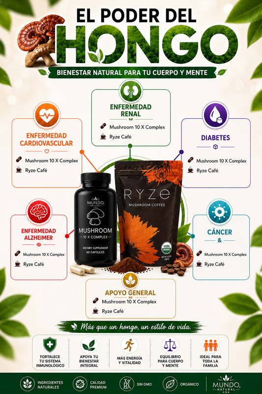 Coffee RYZe Mushroom
30 Porciones cafe