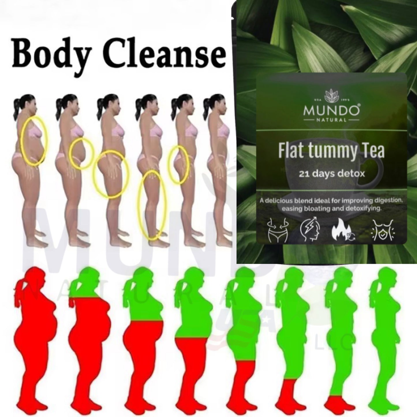 Tea Slimming 21 Days- Mundo Natural - controla el peso