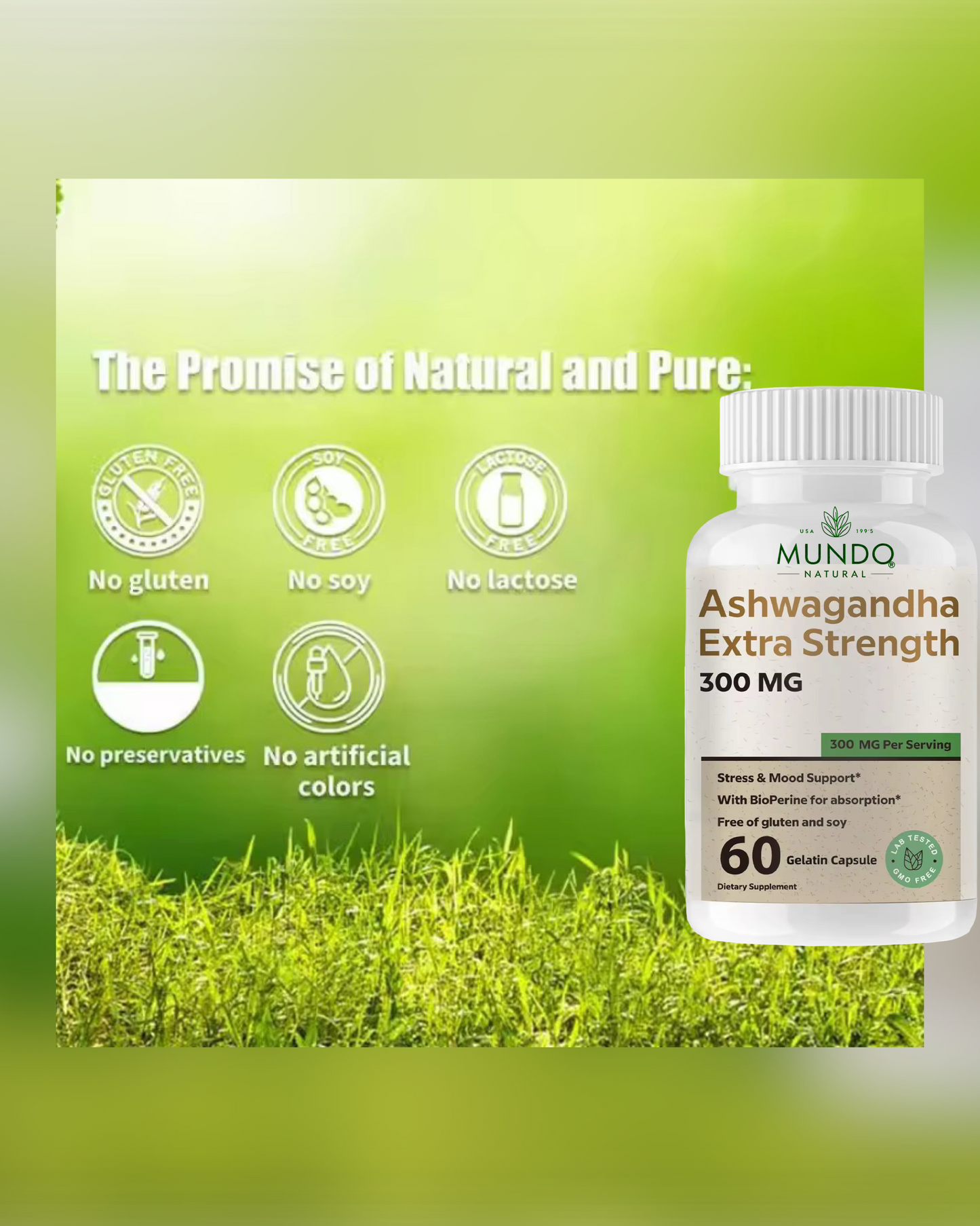 Ashwagandha Supplement