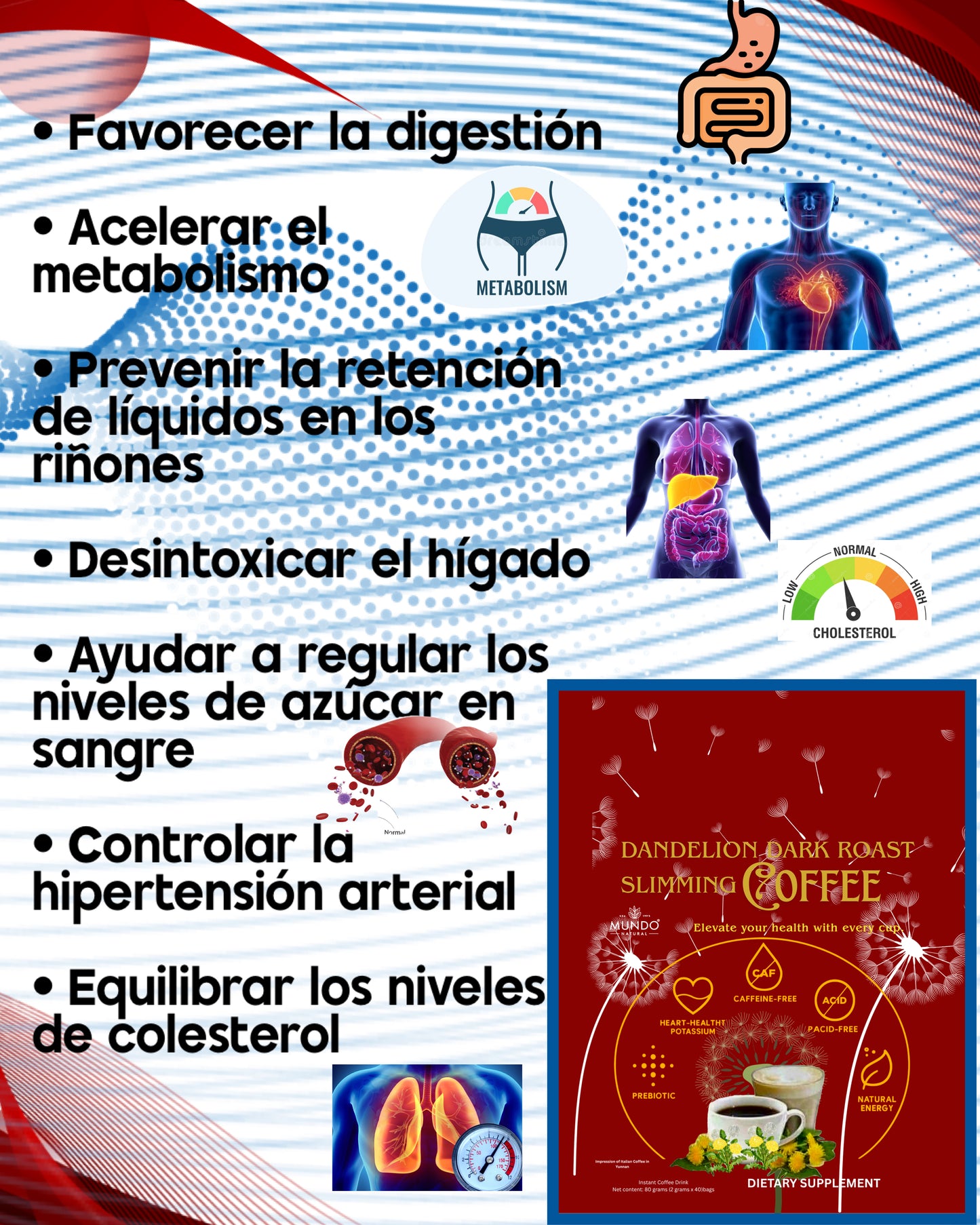 Slimming Café con raíz de diente de león