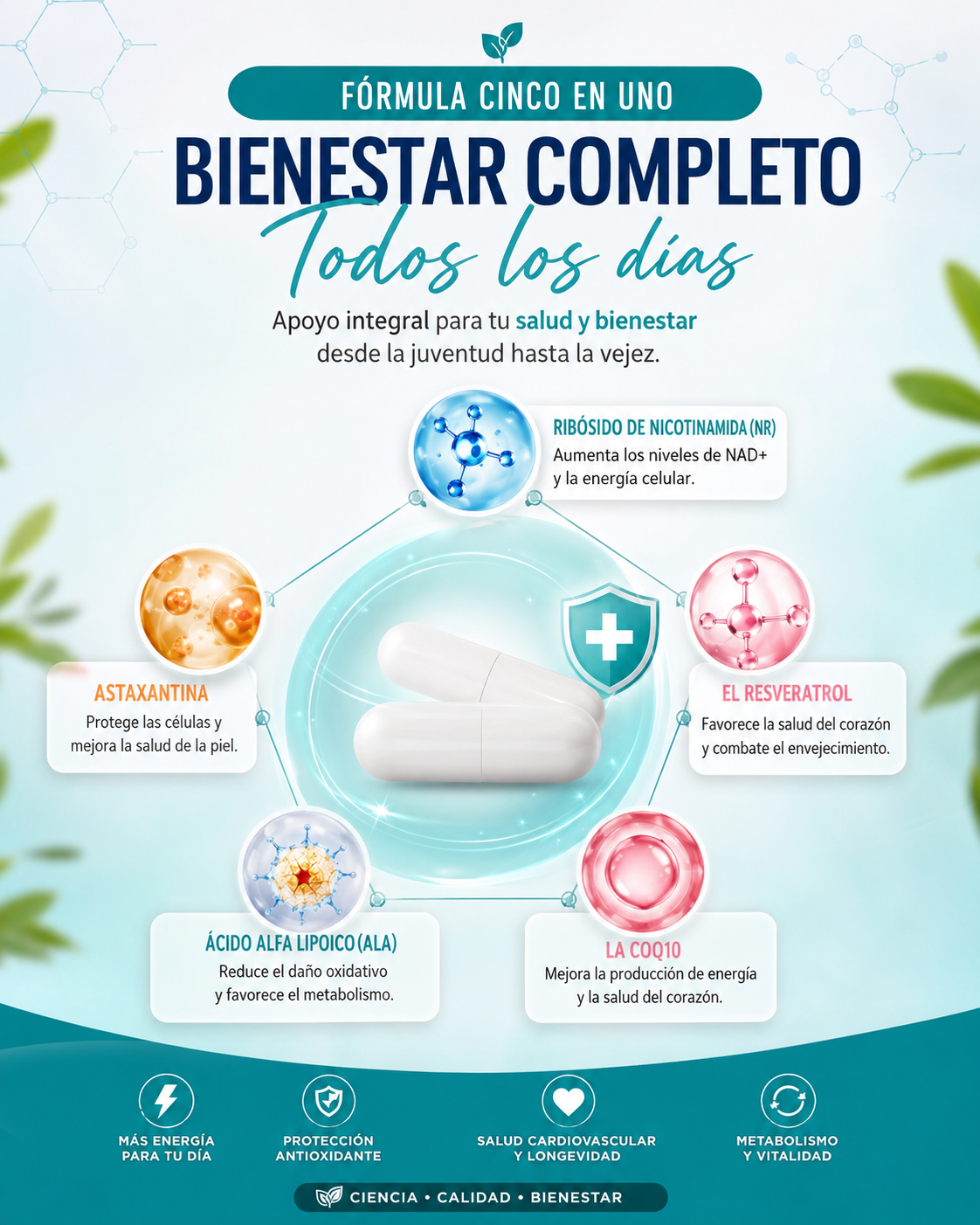 NAD - Resveratrol Berberina Ácido Hialurónico 500 mg Anti-envejecimiento