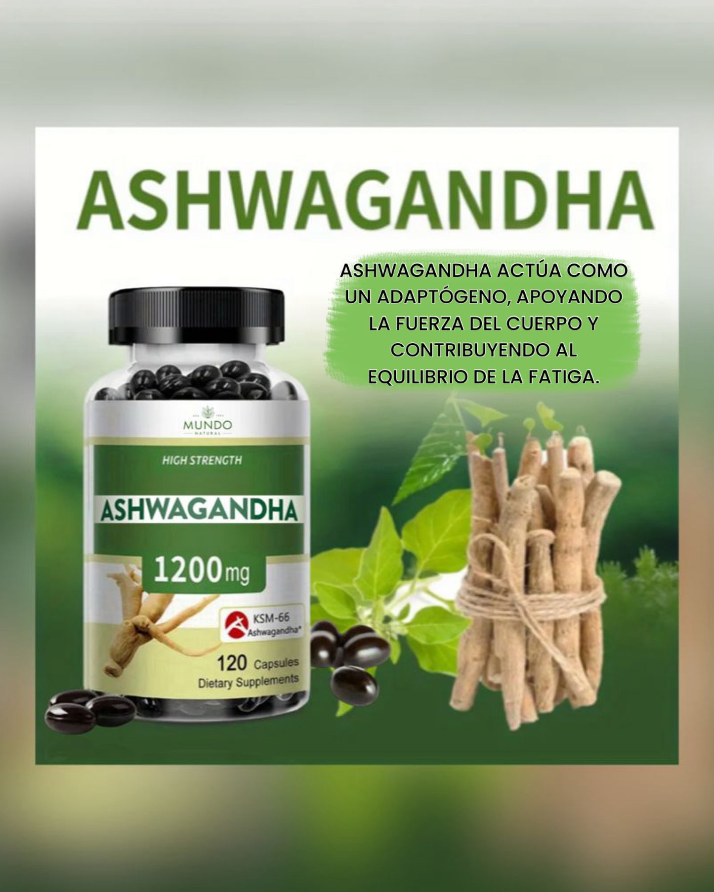 Ashwagandha Extra Fuerte 1200 mg