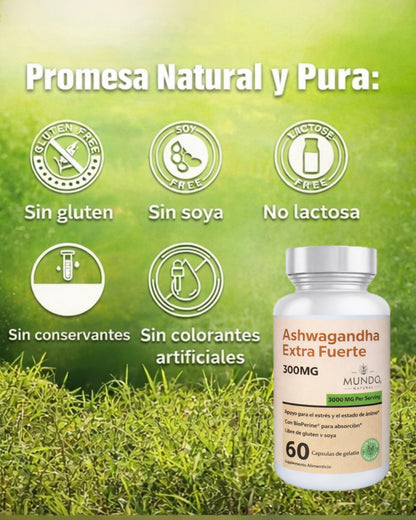 Ashwagandha Organica mejora la salud y la resistencia