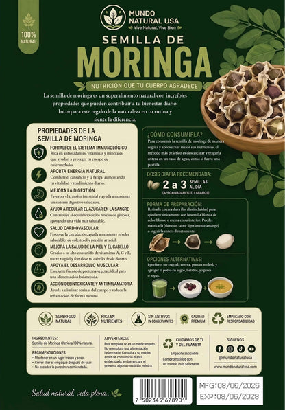 Semilla de Moringa Oleifera | Orgánica