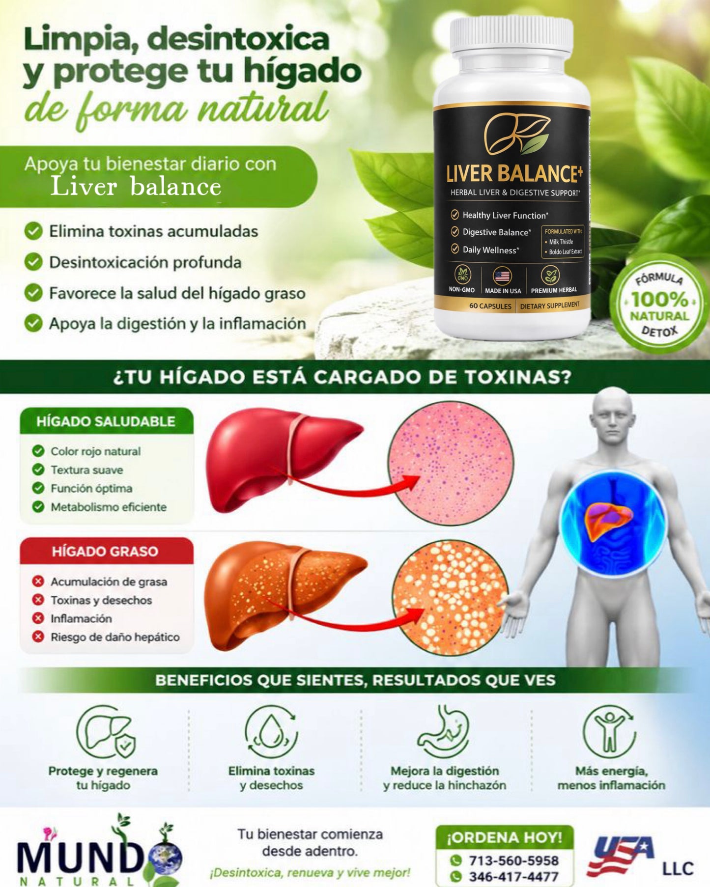 Liver Balance+ | Soporte Digestivo y Bienestar Diario | Fórmula Herbal Premium