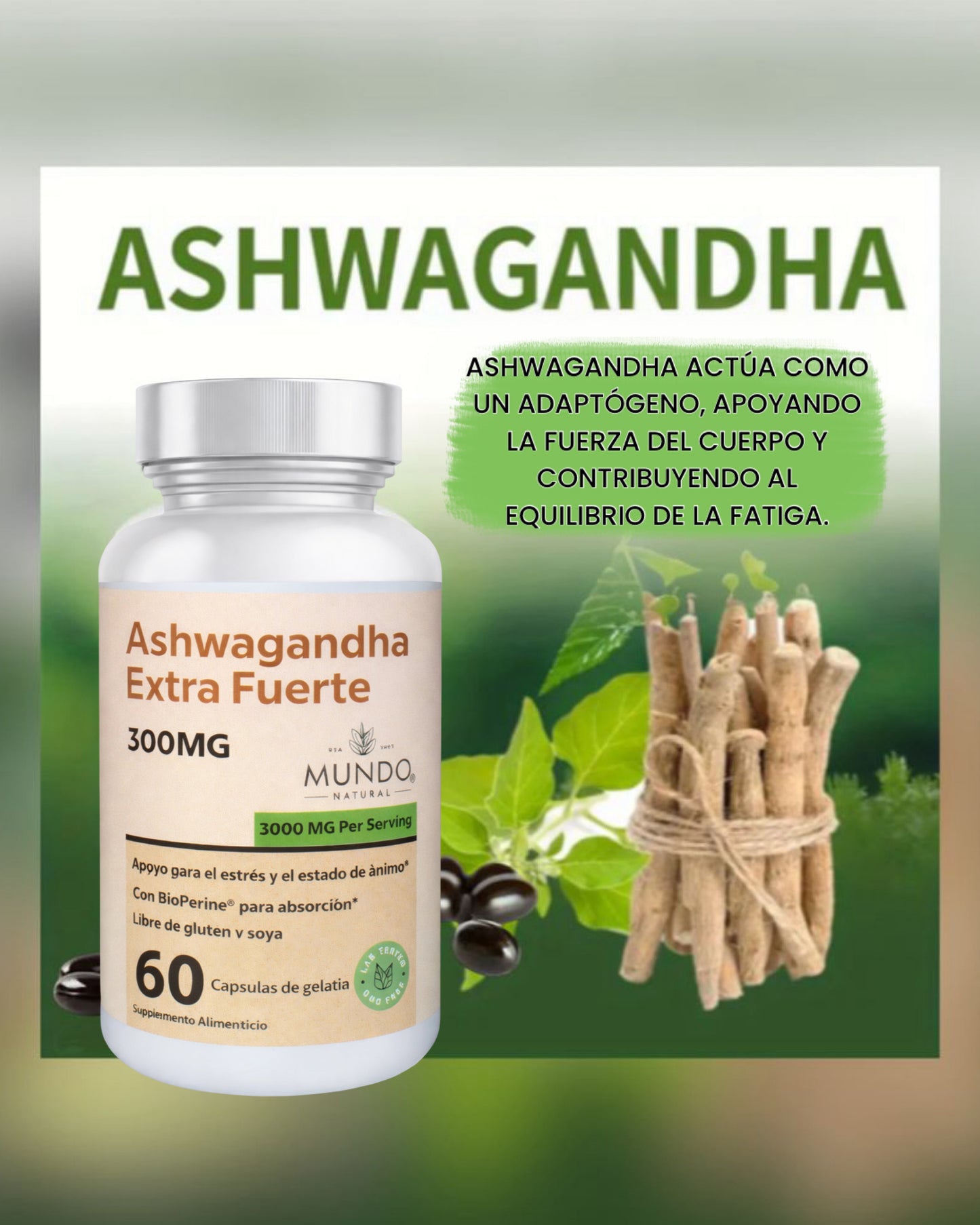 Ashwagandha Organica Extra fuerte - mejora la salud y la resistencia