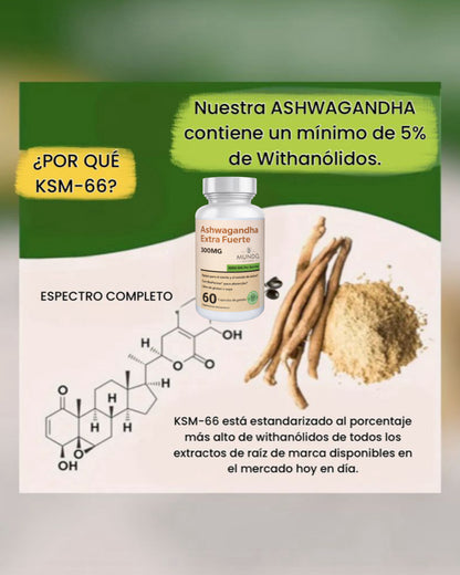 Ashwagandha Organica Extra fuerte - mejora la salud y la resistencia