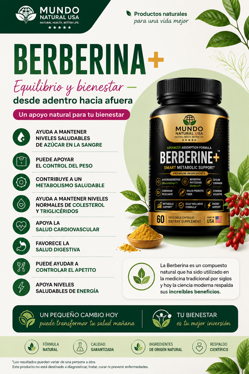 Berberina+ GLP| Advanced Metabolic Support Formula | 60 caps