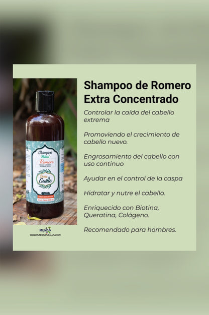 Romero Shampoo extra concentrado - Rosemery concentrated