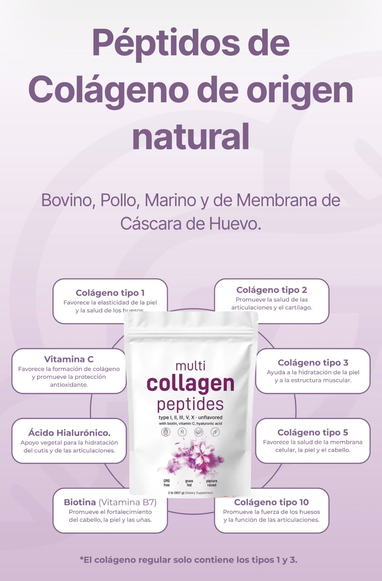 Colageno Múltiple de Micro Ingredients - Multi Collagen Peptides 1lb